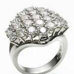 Wayne Lynch Master Jeweller logo