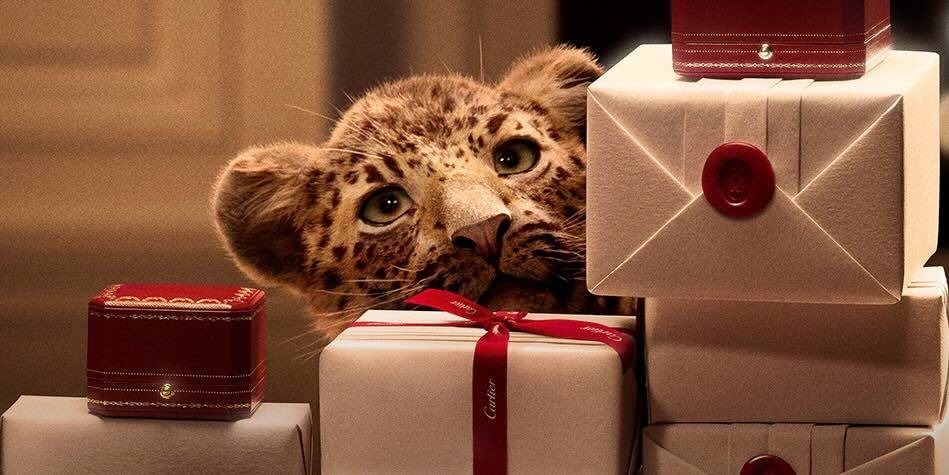 High-end Australian jewellery from Jewellink, perfect for gifts and special occasions.